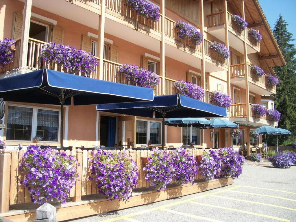 Hotel Vallechiara موينا المظهر الخارجي الصورة
